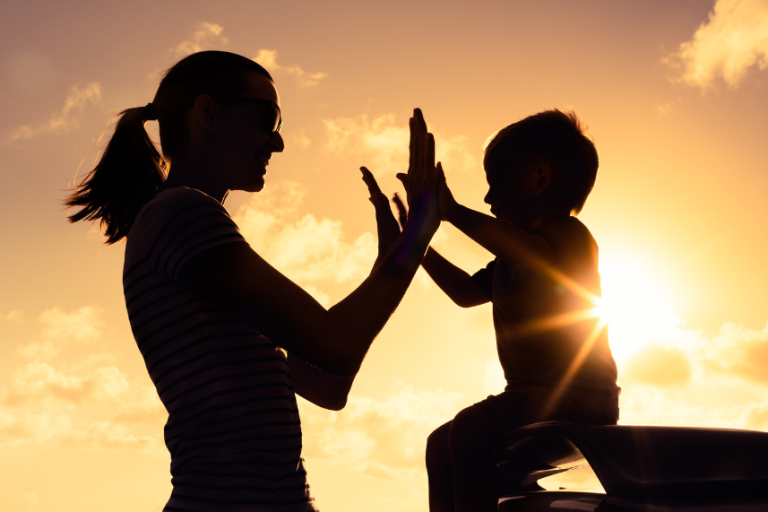 High Conflict in Child Custody Disputes and Parental Alienation